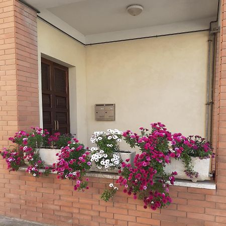 Bed and Breakfast Casa Dilva Порто-Сант'Эльпидио Экстерьер фото