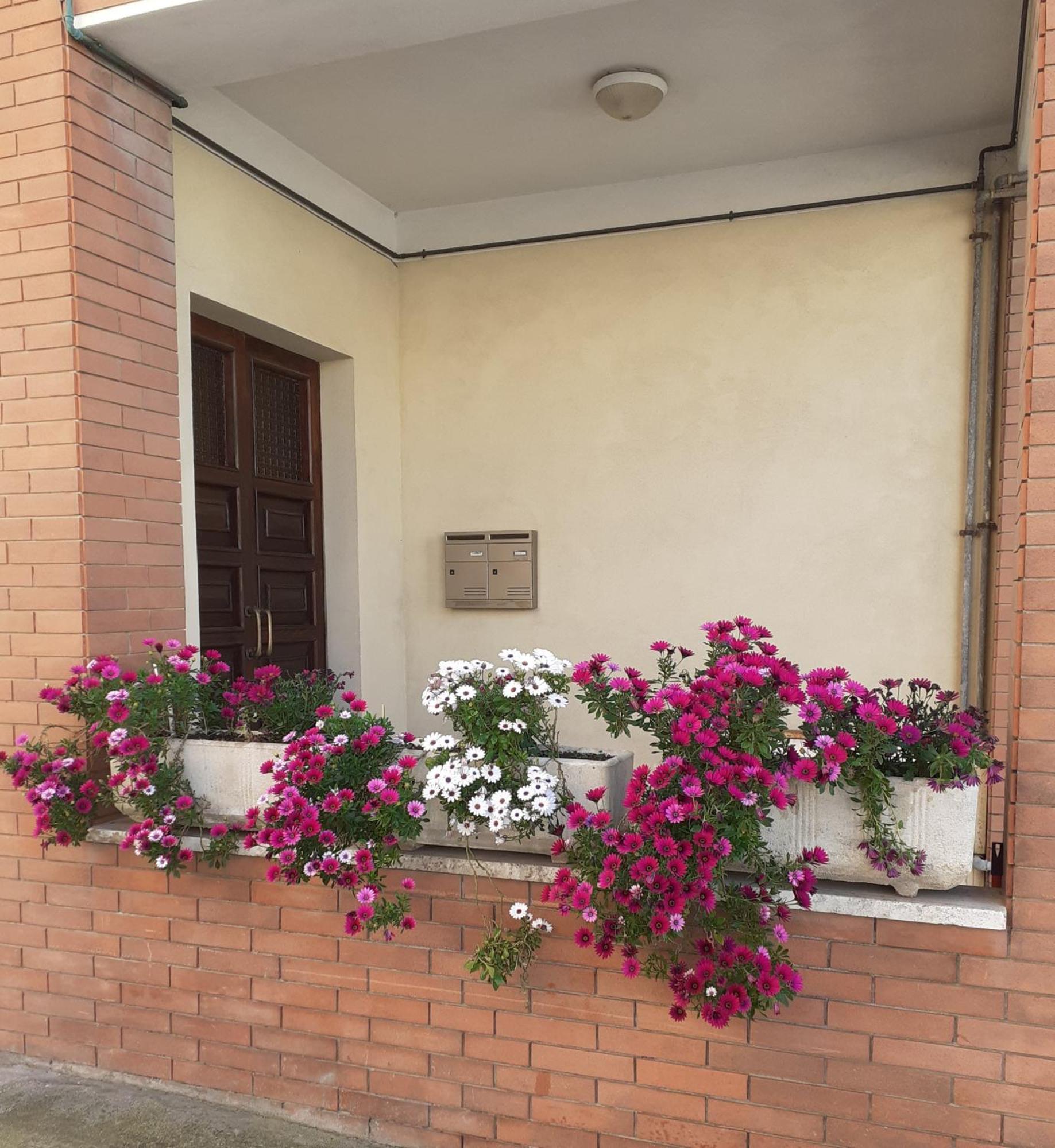 Bed and Breakfast Casa Dilva Порто-Сант'Эльпидио Экстерьер фото